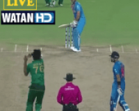 Watan HD Live-Cricket-TV