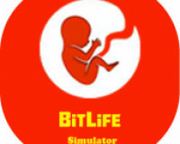 BitLife Jogo Vida