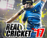 Cricket™ real 17