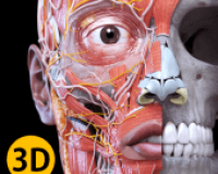 Atlas 3D de anatomia
