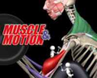 Músculo e Movimento – Força