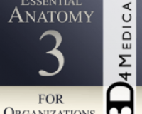 Essential Anatomy 3 for Orgs.